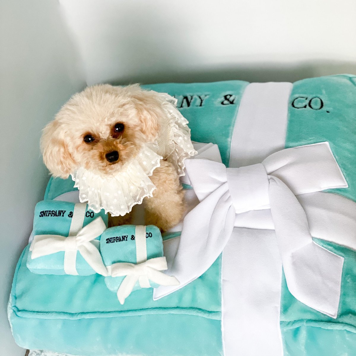 Dog Diggin Designs Sniffany Bed パロディベッド Sniffany Bed