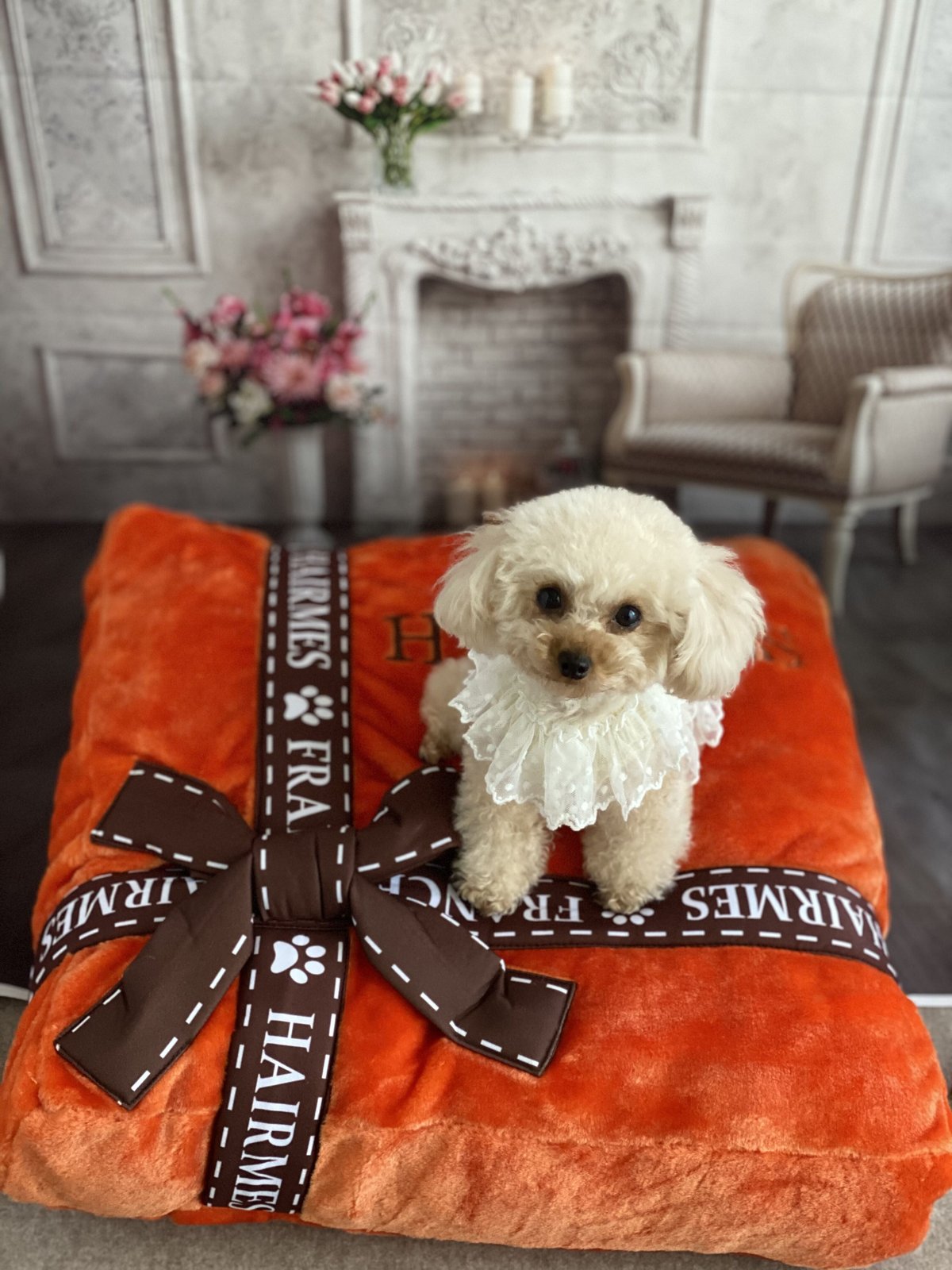 Dog Diggin Designs Sniffany Bed パロディベッド お取り寄せ商品】Dog Diggin Designs Sniffany & Co ベッド
