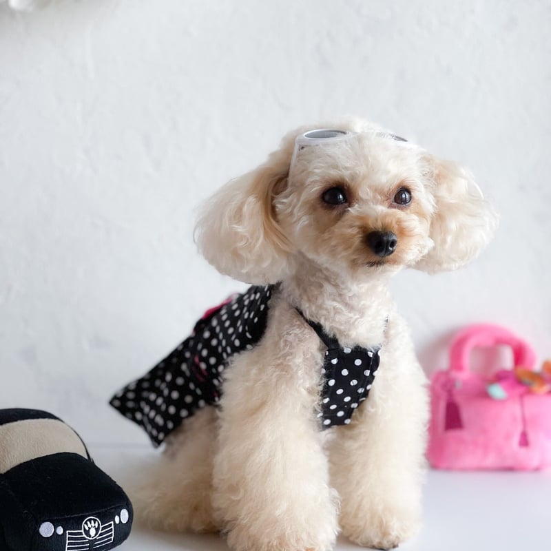 アンティークドールワンピ✴︎フレンチスリーブ　犬服　ハンドメイド　∞TuTu∞ アンティークドールワンピ✴︎フレンチスリーブ 犬服