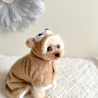 【予約商品 約4週間でお届け予定】くまちゃんガウン