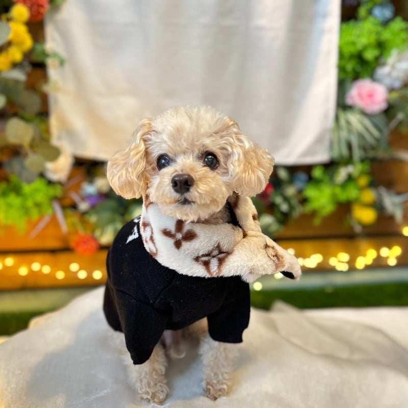 予約商品 約4週間でお届け予定】ファーフリースマフラー（アイボリー