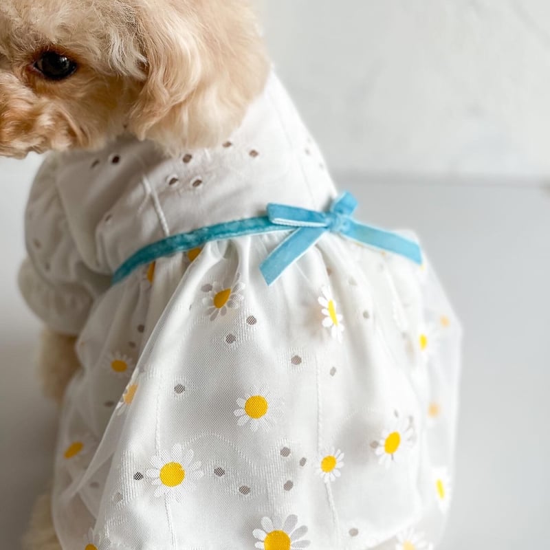 予約商品 約4週間でお届け予定】マーガレットワンピース | 犬用品