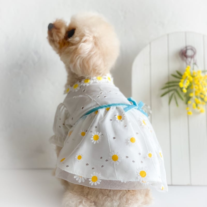 予約商品 約4週間でお届け予定】マーガレットワンピース | 犬