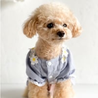 【予約商品 約4週間でお届け予定】プルメリアワンピース（ブルー）