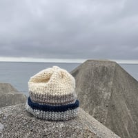 wool100