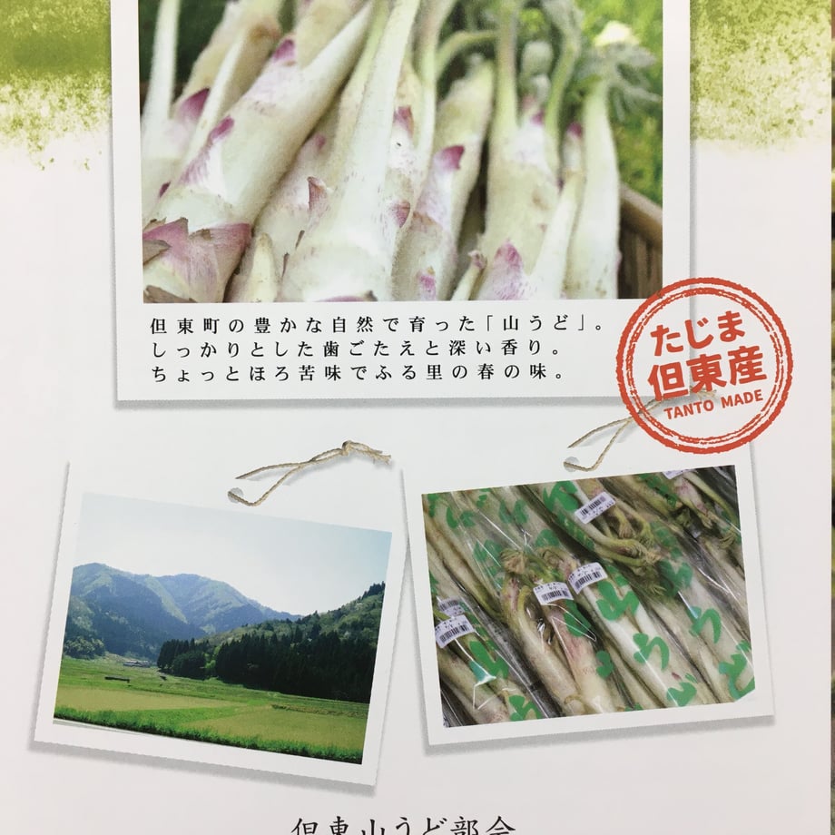 6035f742c19c457487ccbb55