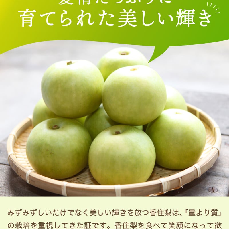 優品・ご家庭用】令和5年産 香住梨 二十世紀 約10kg（L～4L:24～36玉