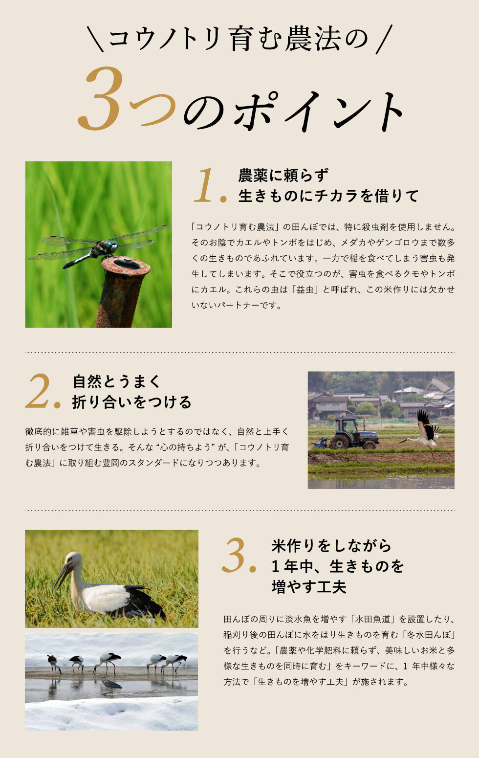 2022年産コウノトリ育む農法のお米　５キロ無農薬 新米・令和4年産】特別栽培米 コウノトリ育むお米（無農薬）白米