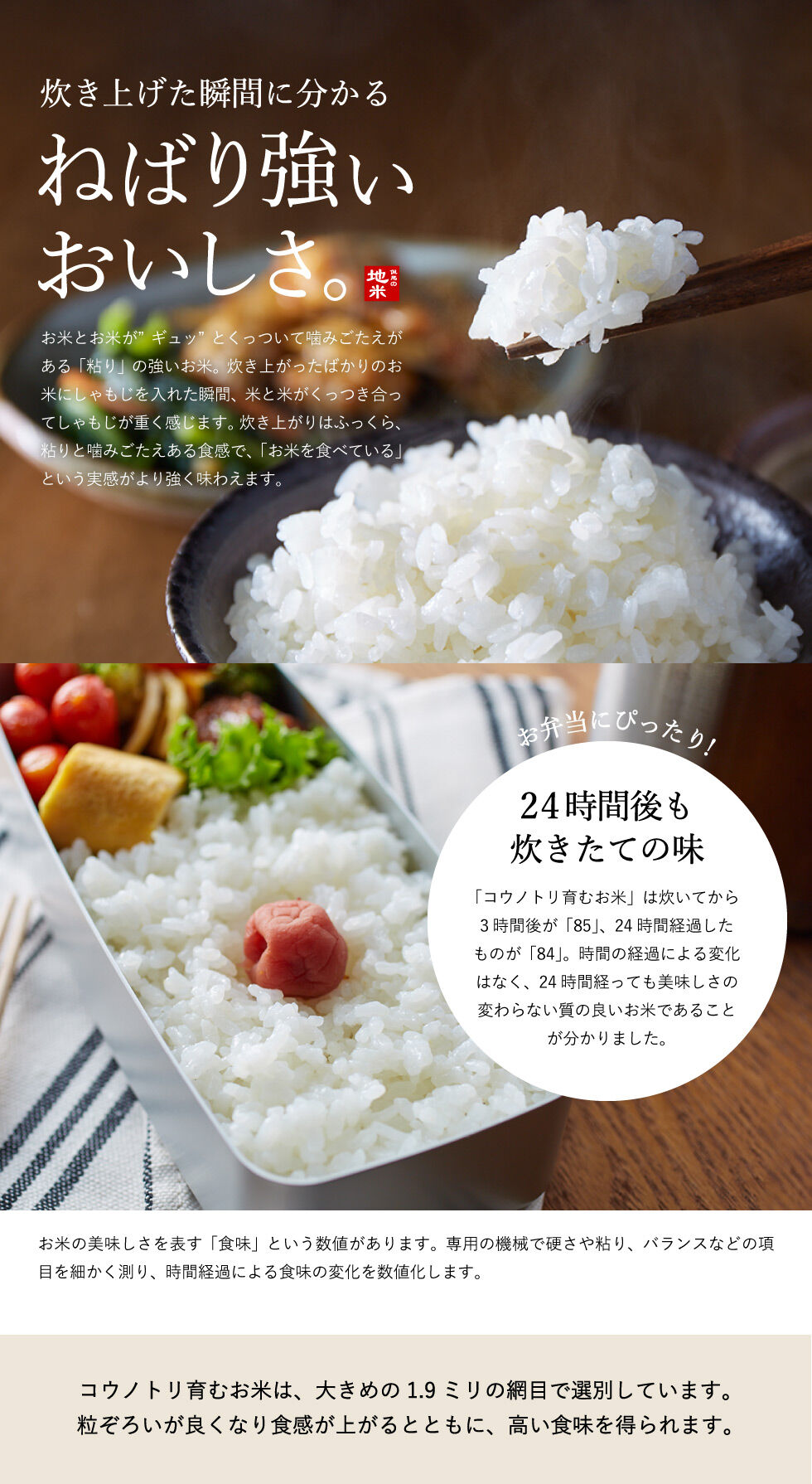 令和4年産】特別栽培米 コウノトリ育むお米（減農薬）白米 2kg 送料