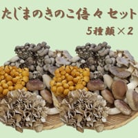 たじまのきのこ★倍々★セット　新鮮きのこ5種類　※送料無料（北海道・沖縄・離島を除く）