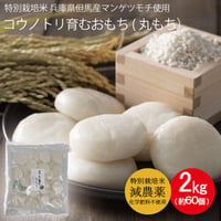 コウノトリ育むおもち　特別栽培米（減農薬）丸もち　2kg（約60個）　送料無料（北海道・沖縄・一部離島を除く）