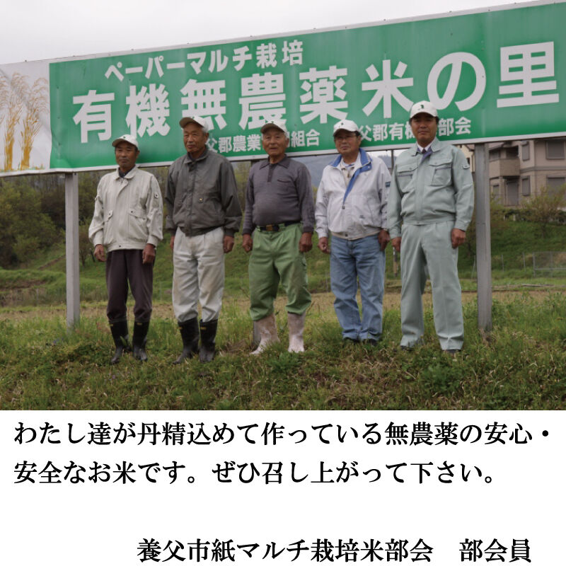 値下げ！！ 25Kg 新米 旨米(2017年産) 無農薬栽培(A732) 新米予約【令和7年新米】2年連続お米番付全国2位受賞米!!至高