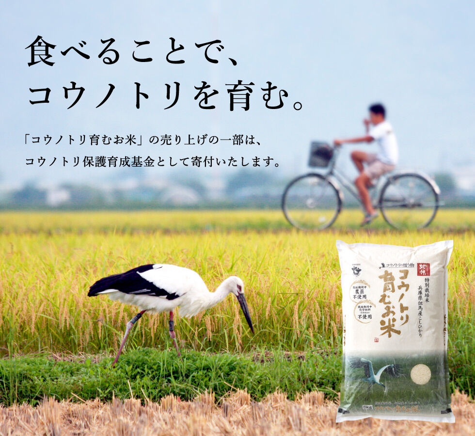 新米・令和4年産】特別栽培米 コウノトリ育むお米（無農薬）玄米 2kg 送料無料（北海道・沖...