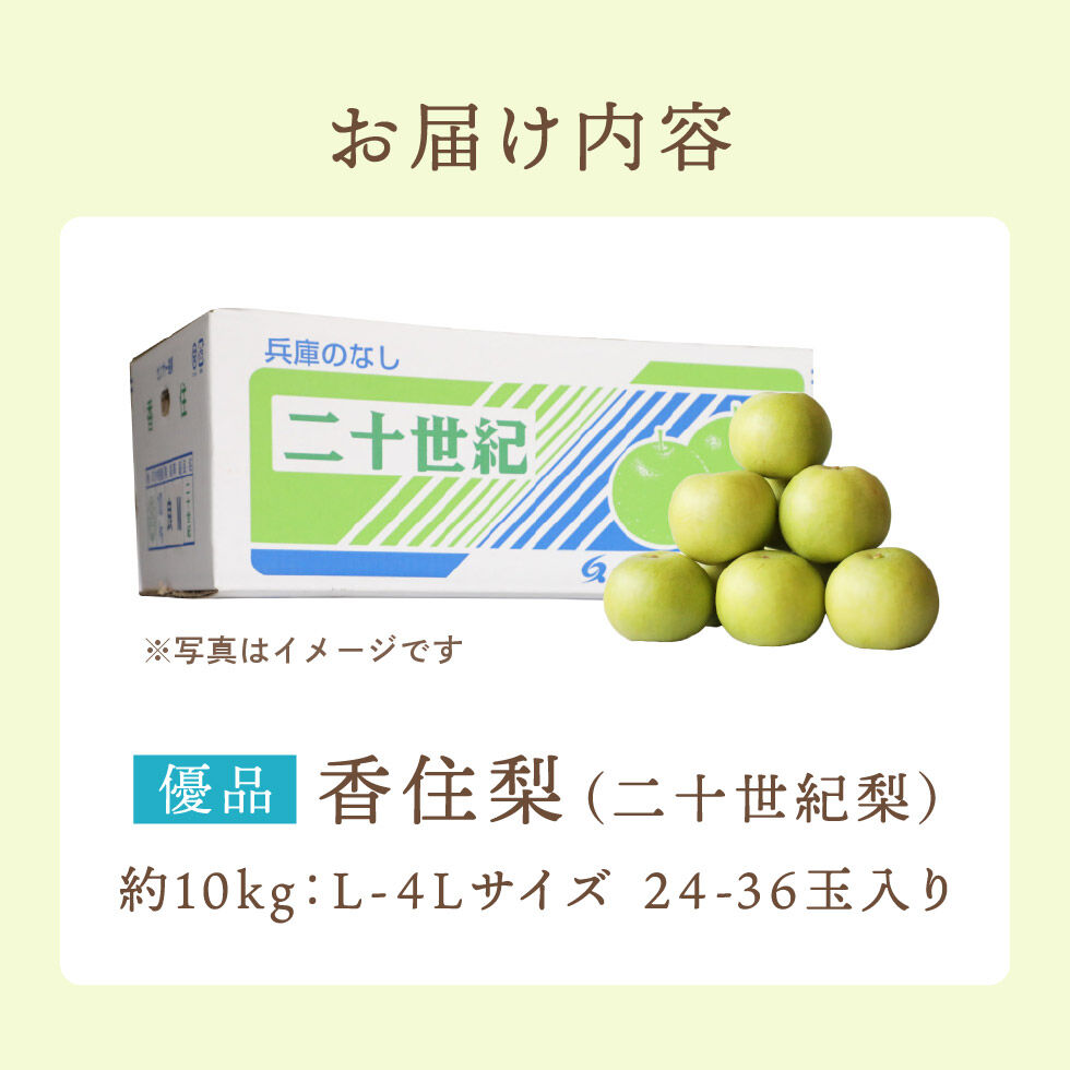 優品・ご家庭用】令和5年産 香住梨 二十世紀 約10kg（L～4L:24～36玉