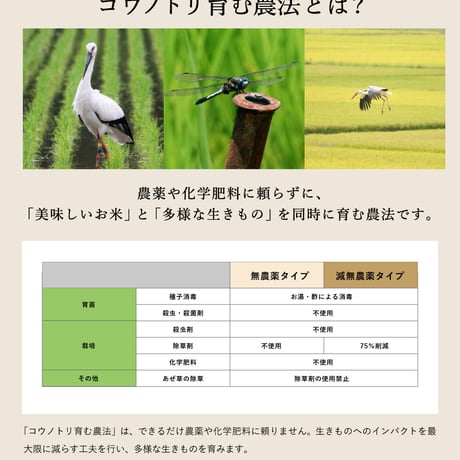 【新米・令和4年産】特別栽培米　コウノトリ育むお米（無農薬）白米　5kg　送料無料（北海道・沖縄・離島除く）