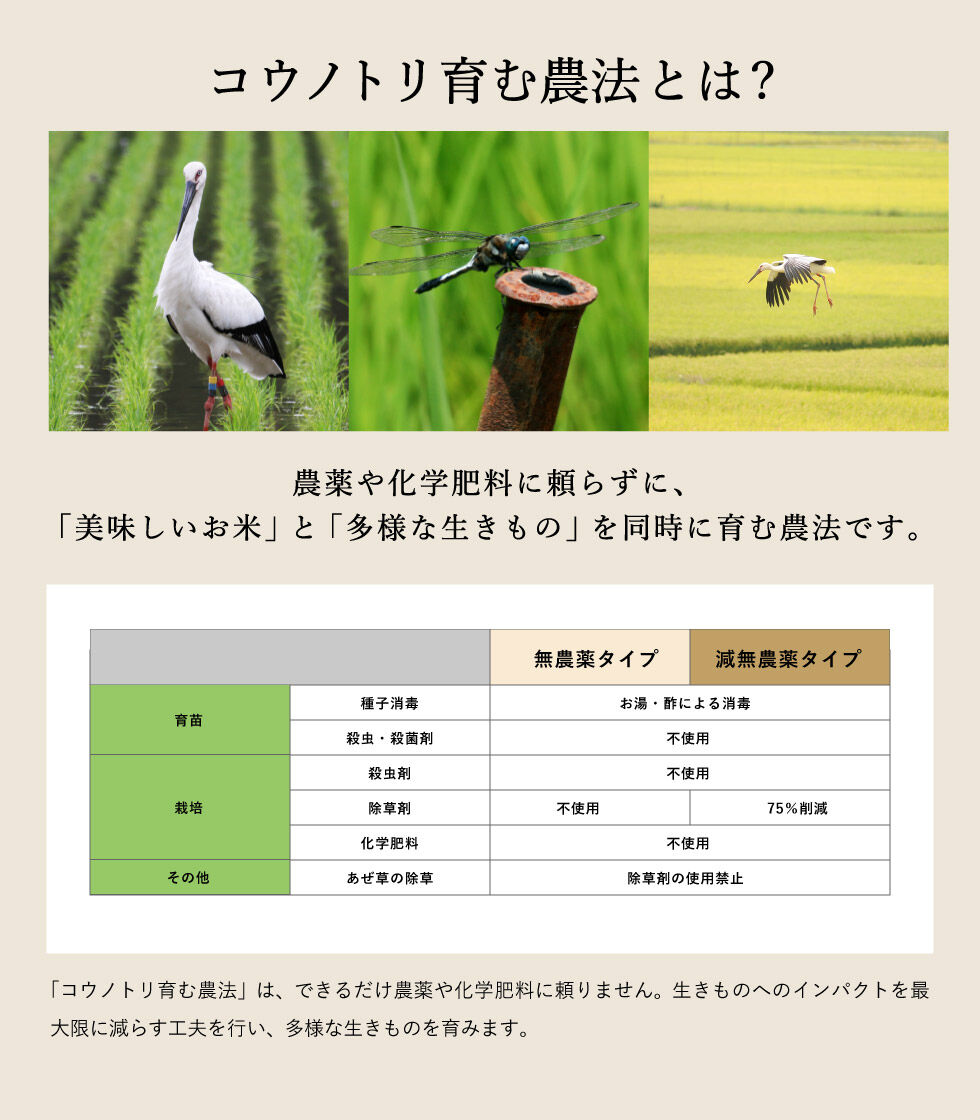 2022年産コウノトリ育む農法のお米　５キロ無農薬 新米・令和4年産】特別栽培米 コウノトリ育むお米（無農薬）白米