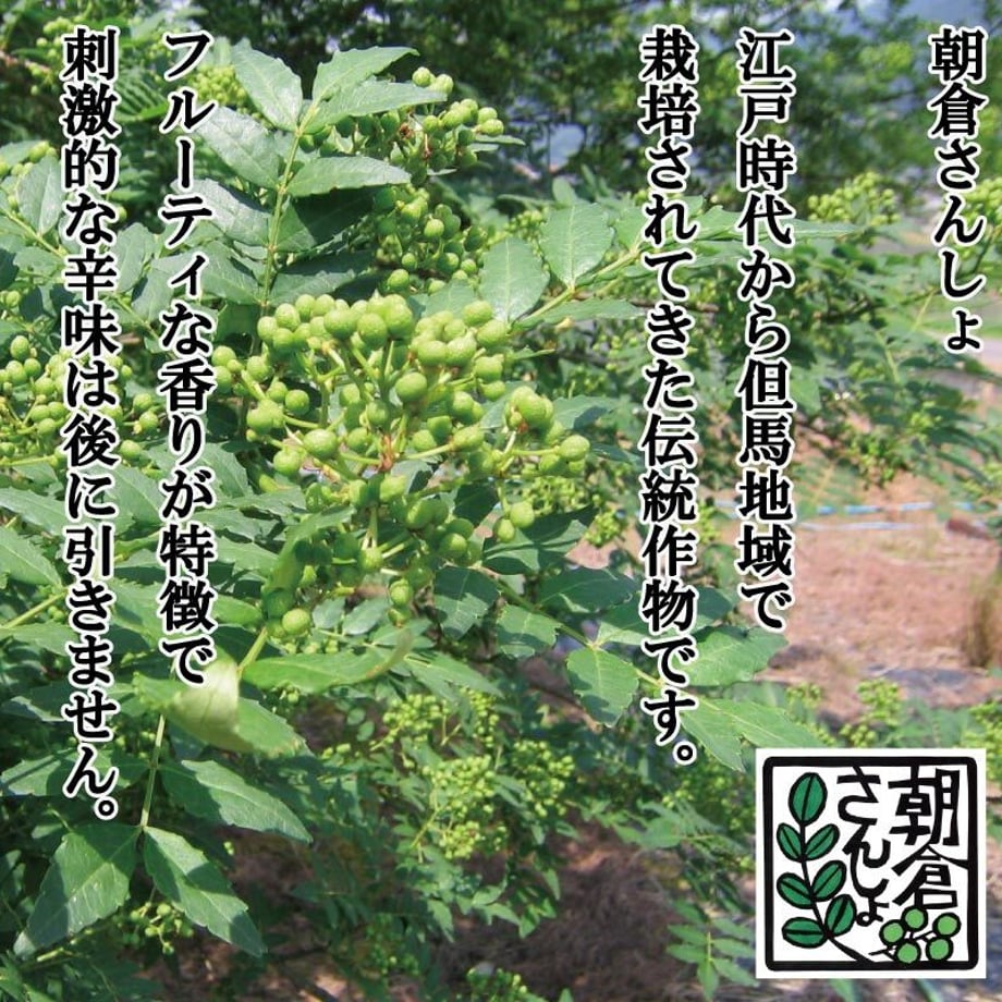 5f7baddbfbe5b545d74569b2