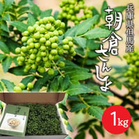 令和５年産 朝倉さんしょ 1kg（冷蔵）※5月19日以降順次発送します