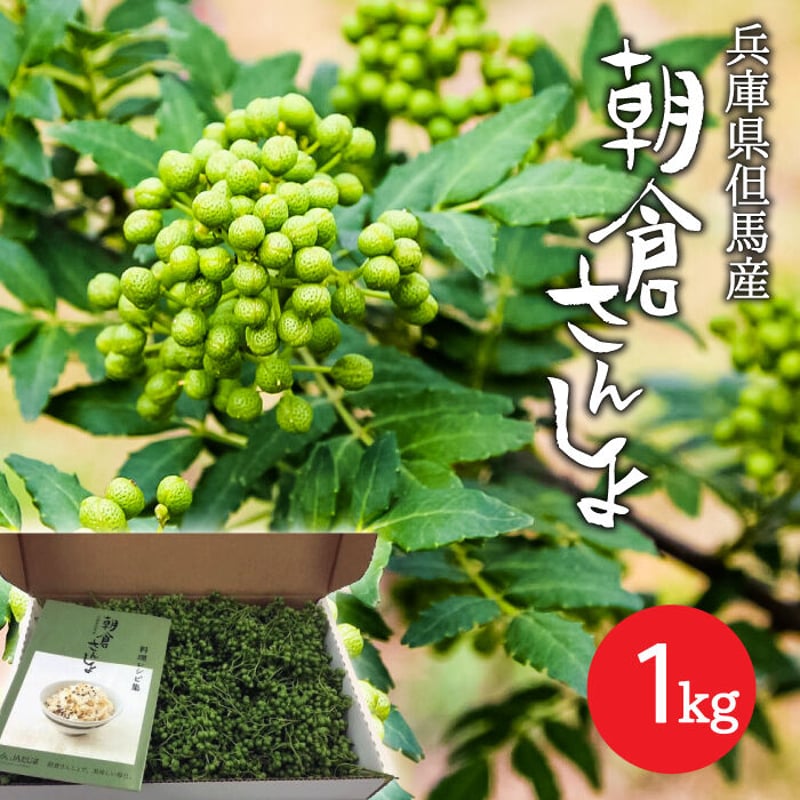新物!2022年産 冷凍実山椒 300g 和歌山産 山椒の実 ぶどう 朝倉 新物!2022年産 冷凍実山椒 300g 和歌山産 山椒の実 ぶどう 朝倉