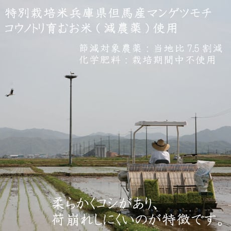 コウノトリ育むおもち　特別栽培米（減農薬）丸もち　1kg（約30個）　送料無料（北海道・沖縄・一部離島を除く）