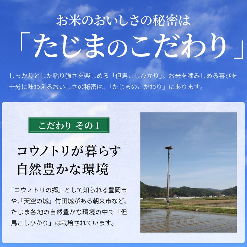 令和4年産】兵庫県但馬産コシヒカリ 5kg 米 送料無料(北海道 令和4年産】兵庫県但馬産コシヒカリ 5kg 米 送料無料(北海道
