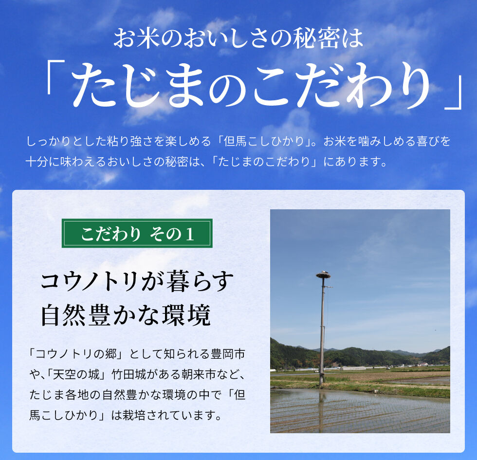 令和4年産】兵庫県但馬産コシヒカリ 5kg 米 送料無料（北海道