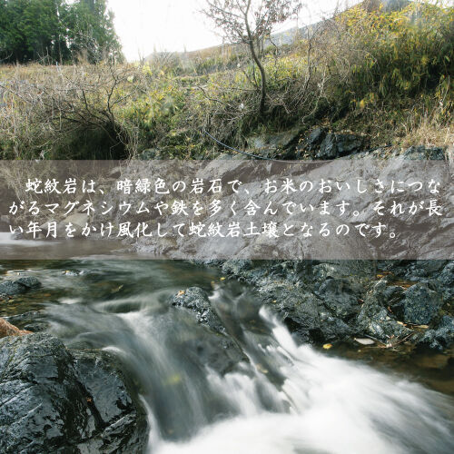 いずみんさん専用　玄米 いずみんさん専用 玄米