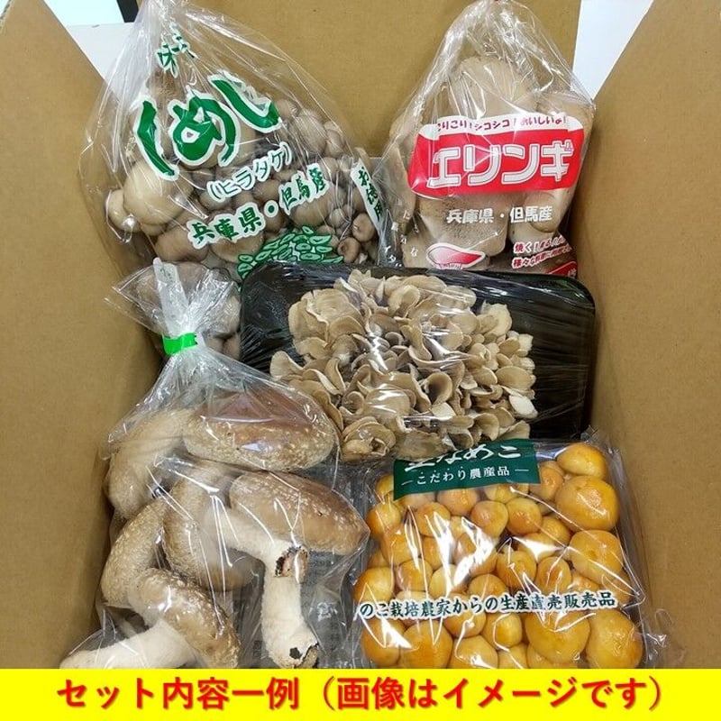 たじまのきのこセット 新鮮きのこ5種類 ※送料無料（北海道・沖縄・離島