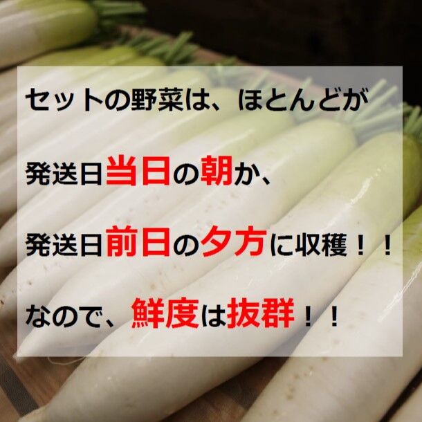 【専用】野菜様 ヨドバシ.com - エステー 新鮮番 1個 [野菜 鮮度保持剤] 通販【全品