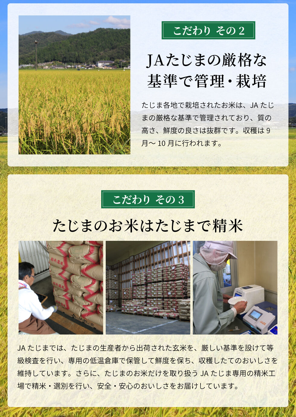 令和4年産】兵庫県但馬産コシヒカリ 5kg 米 送料無料(北海道 令和4年産】兵庫県但馬産コシヒカリ 5kg 米 送料無料(北海道