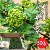 令和５年産 朝倉さんしょ 500g（冷蔵）※5月19日以降順次発送します