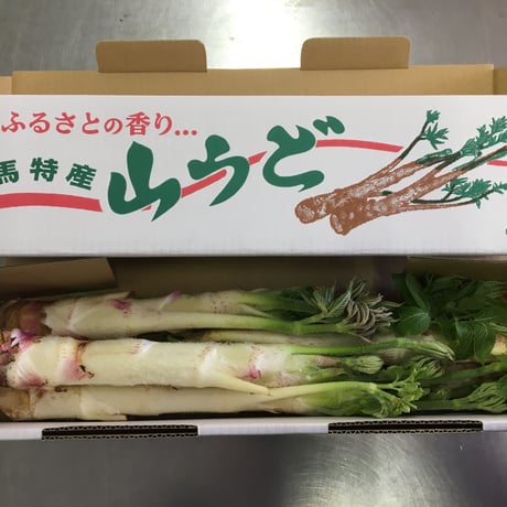 ☆春の香り☆山うど　1kg（3～5本）入り【2023年3月17日（金）以降順次発送します】　※送料無料（北海道・沖縄・離島を除く）
