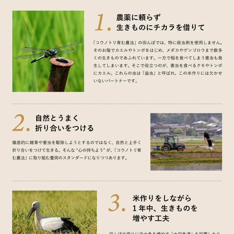 新米・令和4年産】特別栽培米 コウノトリ育むお米(無農薬)玄米 新米・令和4年産】特別栽培米 コウノトリ育むお米(無農薬)玄米