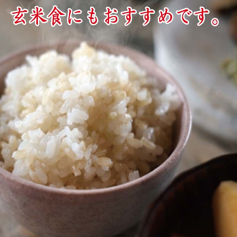 新米・令和4年産】特別栽培米 やぶの華（無農薬）玄米 30kg 送料無料