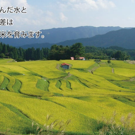 【令和4年産】地域限定米　みかた棚田米　玄米　30kg　送料無料（北海道・沖縄・離島除く）