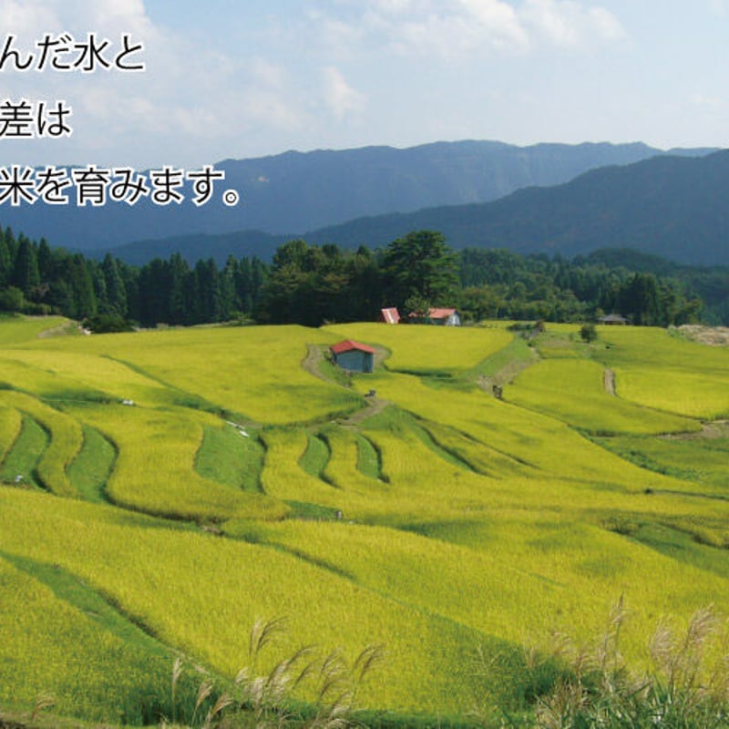 令和4年産】地域限定米 みかた棚田米 玄米 30kg 送料無料（北海道 