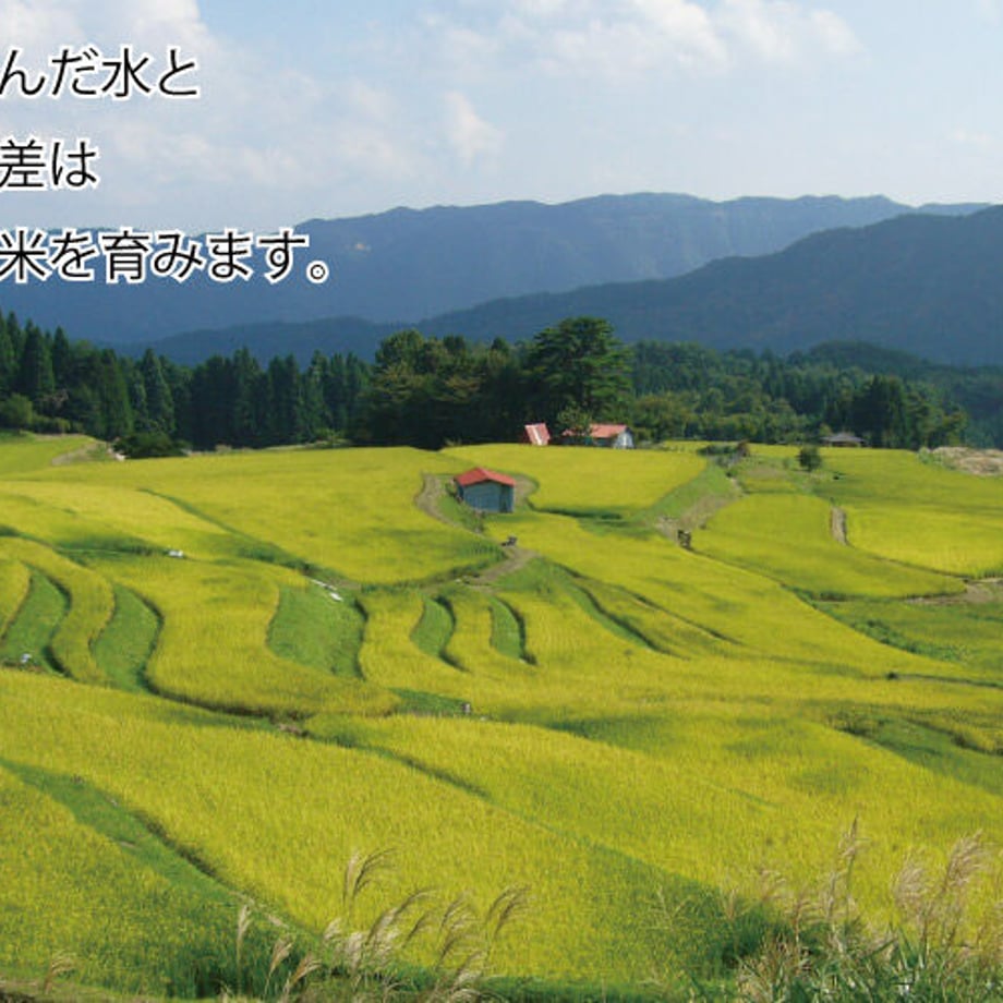5f7e7d618f2ebd7cd1d9cd25