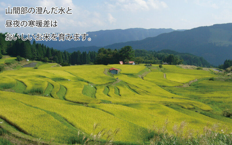 令和4年産】地域限定米 みかた棚田米 玄米 30kg 送料無料 令和4年産】地域限定米 みかた棚田米 玄米 30kg 送料無料