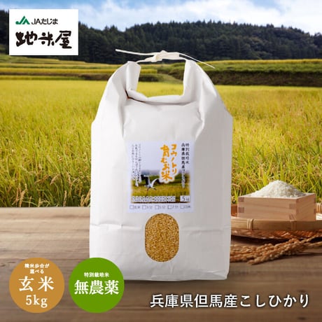 【新米・令和4年産】特別栽培米　コウノトリ育むお米（無農薬）玄米　5kg　送料無料（北海道・沖縄・離島除く）