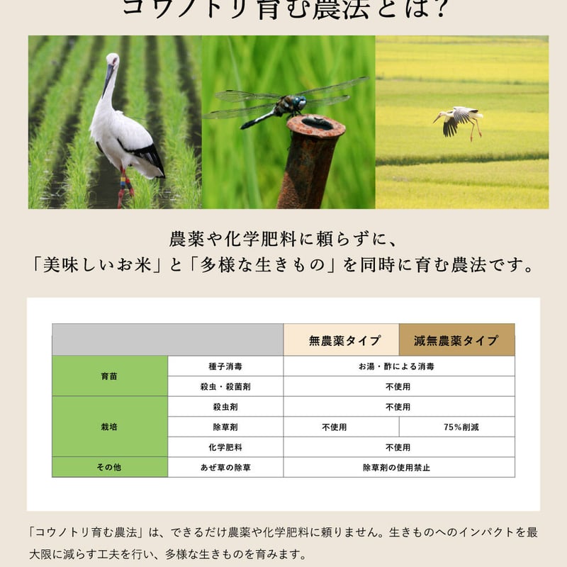 新米・令和4年産】特別栽培米 コウノトリ育むお米（無農薬）玄米