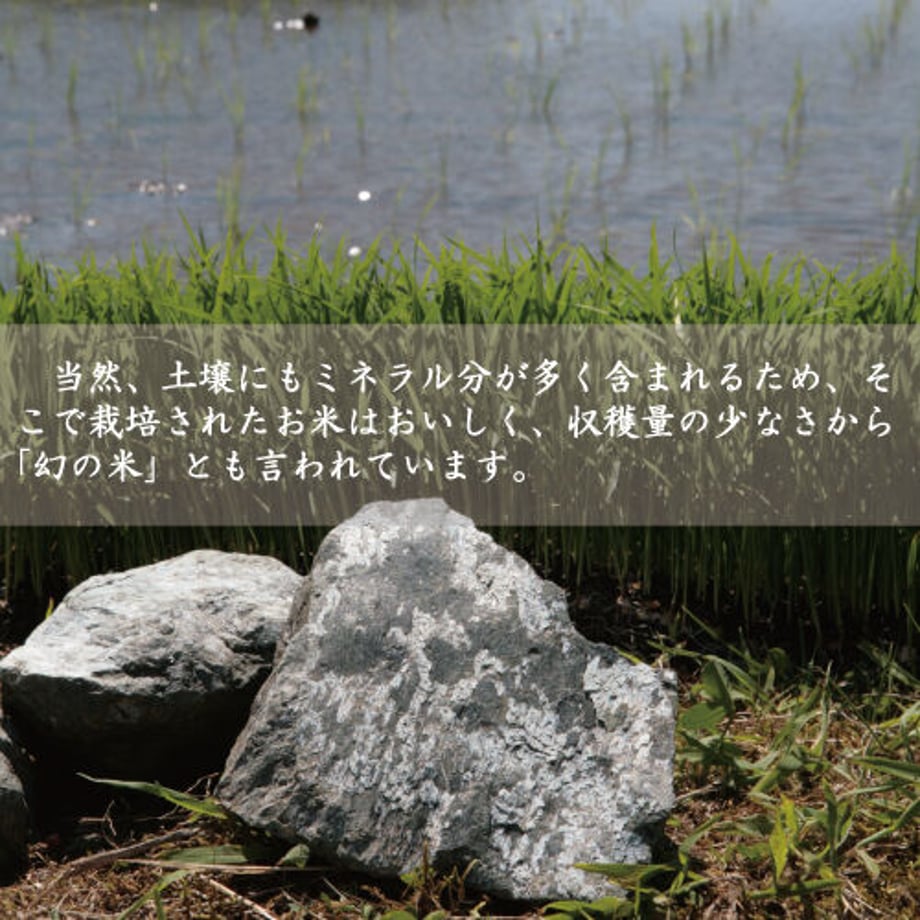 5fa393beb00aa32c51a67395