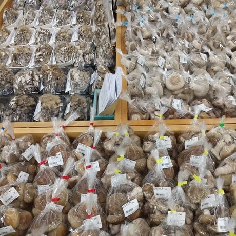 たじまのきのこセット　新鮮きのこ5種類　※送料無料（北海道・沖縄・離島を除く）