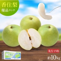 【優品・ご家庭用】令和5年産 香住梨 二十世紀 約10kg（L～4L:24～36玉）※送料無料（北海道・沖縄・離島を除く）