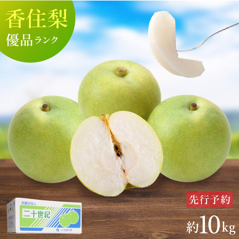 梨　美味しい　3 2〜36 玉 １０Kg 優品・ご家庭用】令和5年産 香住梨 二十世紀 約10kg（L～4L:24～36玉