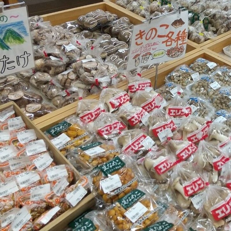 たじまのきのこ☆倍々☆セット 新鮮きのこ5種類 ※送料無料（北海道