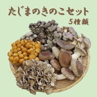 たじまのきのこセット　新鮮きのこ5種類　※送料無料（北海道・沖縄・離島を除く）