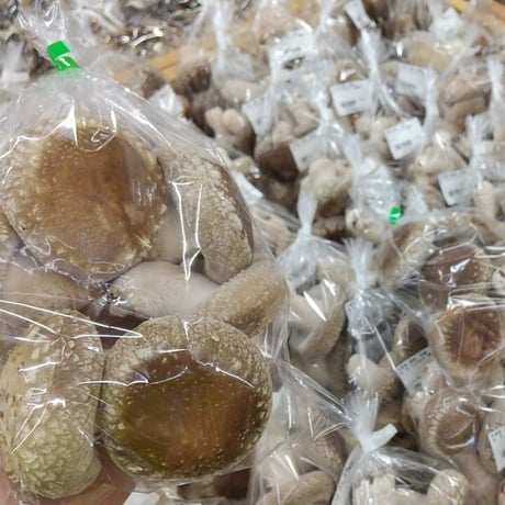 たじまのきのこセット　新鮮きのこ5種類　※送料無料（北海道・沖縄・離島を除く）