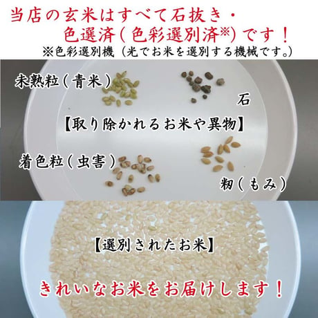 【令和4年産】地域限定米　みかた棚田米　玄米　30kg　送料無料（北海道・沖縄・離島除く）