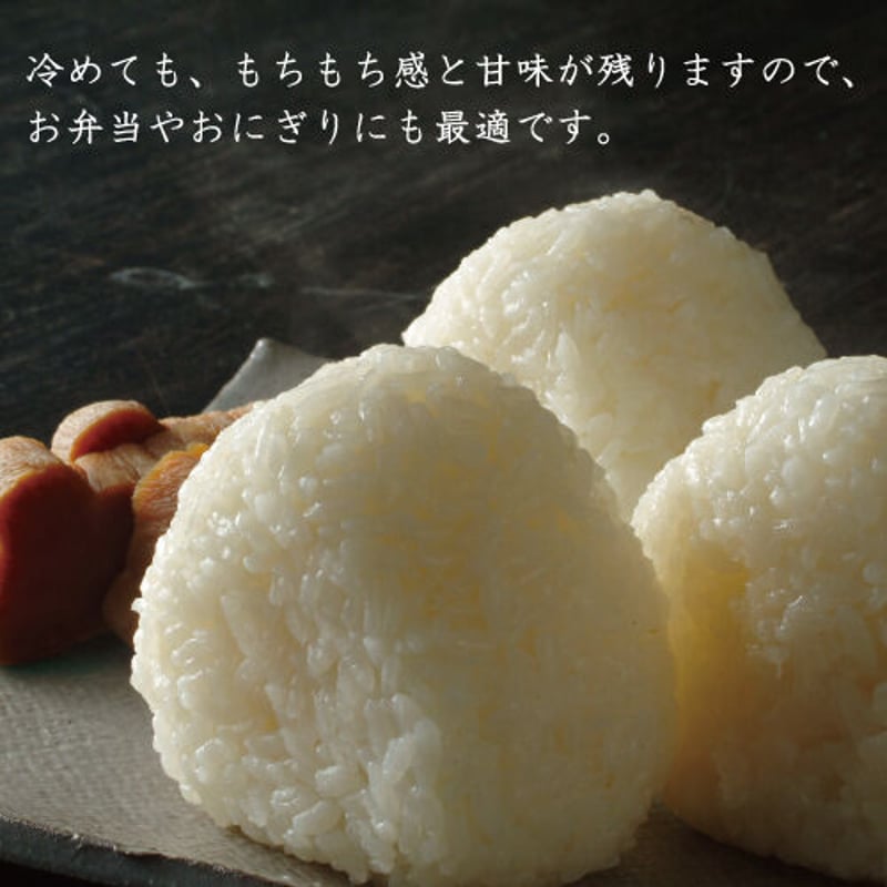 令和4年産】兵庫県但馬産コシヒカリ 棚田米 10kg 5kg×2袋 米 令和4年産】兵庫県但馬産コシヒカリ 棚田米 10kg 5kg×2袋 米