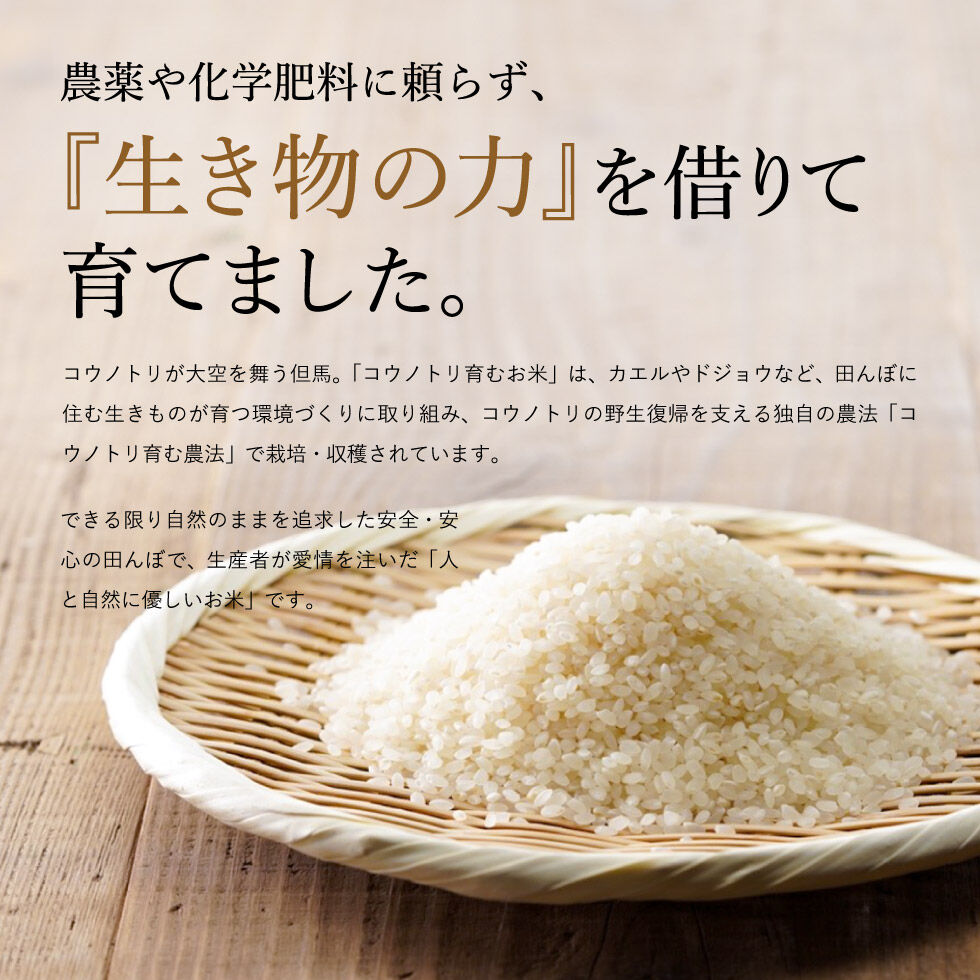 【新米・令和4年産】特別栽培米 コウノトリ育むお米（無農薬）玄米